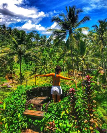 Meet Me Under The Palm #instagram #bali #indonesia #rise #riseterrace #ubud #balitravel #visitbali #travel…