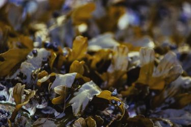 Let mother earth grab you by the eyes @curiocityvancouver @vancouver @canada •••••••••••••••••••••••••••••••••••••••••••••••••••••••••••••••••••••••••••••••••••••••••••••••••••••••••••• #bnesimppl #beautiful_world&hellip;