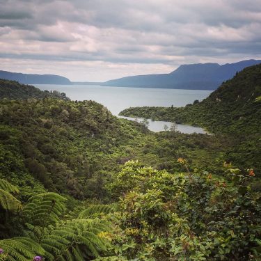 Enjoying the #beauty of #newzealand #scenic #travel #views #travelstagram #travelblogger #picturesque absolutely spendid daynout…