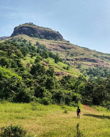 “I like the mountains because they make me feel small. They help me sort…