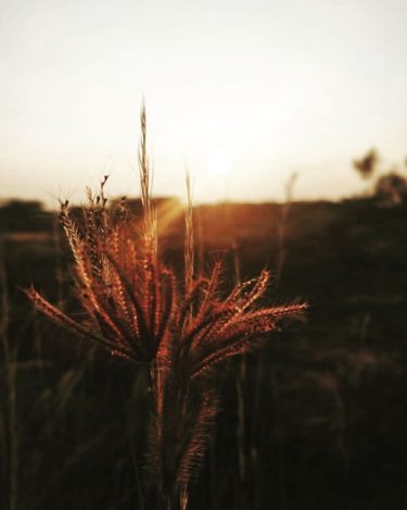 I’m lyf focus on the best part . . . #earthscopes #loves #nature #naturephotography…