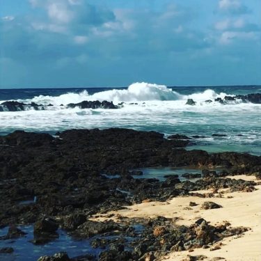 Sharks cove is underwater