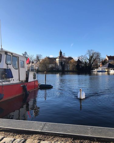 Sonnenstrahlen genießen im Februar️️️ #berlin #berlino #germany #capital #water #winter #sun #ig #igers #instagood…
