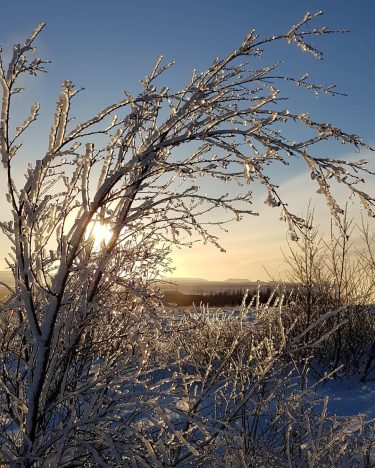 Ice and light #iceland???????? #iceland #photographie #photography #nature #naturephotography #travelphotography #traveling #travelgram #travel #sunlight…