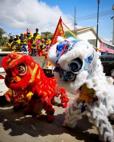 Lion dance for Chinese New year celebration . . . #travels #traveldiary #igtravels #journey…