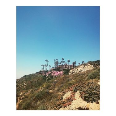 CALI . . . . . . . #creativeoptic #all2epic #capture #roamtheplanet #hype #createscenery…