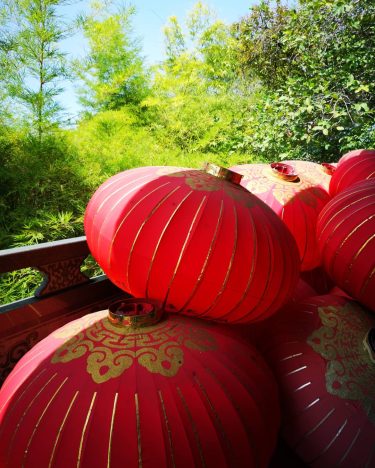 Red and greenery always the best Happy Chinese New year ???? . . .…