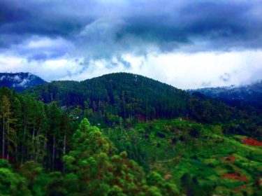 I’m very much delighted that my home view is the best view that I…