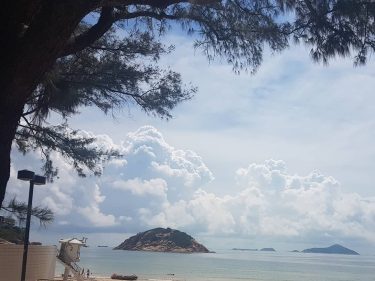 I love to gaze at the so unique, beautiful and ever the number of…