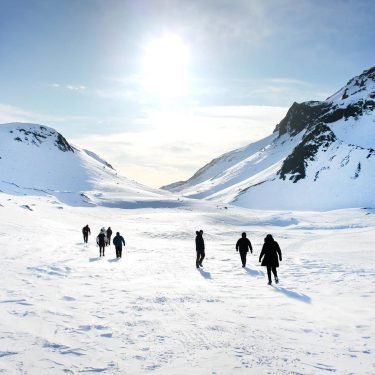 If you know me, you’ll know how much I love the polar regions! ️&hellip;