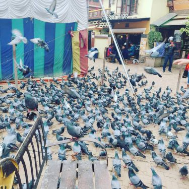 #travellingthroughtheworld #travellingislife #travelersnotebook #travelbook #travelblogger #travelingram #travelphotography #travellifestyle #travelholic #travel #travelgram #traveller #bnesimppl #boudhanathstupa&hellip;