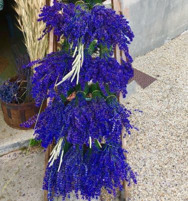 ???????? Provenza Giugno 2018 I colori e i profumi della lavanda nel massimo della…