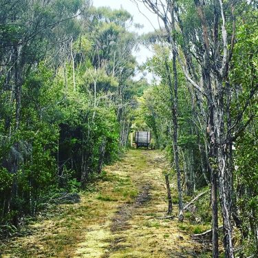 Alborns Coal Mine Track, Reefton; New Zealand #csmidlifegapyear #memories #travel #travelblogger #travelbug #tbt #photo&hellip;