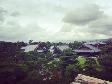 #nijo #nijocastle #bestcitiestovisit #citiesofdreams #twmd #explore #wanderlust #kyoto #kyotojapan #castle #japan_daytime_view #japancastle #japantrip #kyototravel…