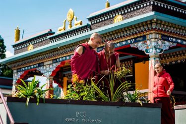 | | Gardening Time | | Nikon D5200, 50mm – #capturetomorrow #dslr_official #dslrofficial #travelphotography&hellip;