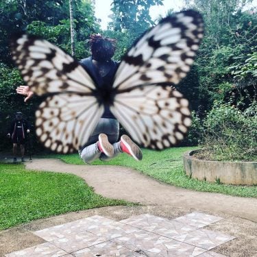 As with the butterfly, adversity is necessary to build character in people. -Joseph B.…