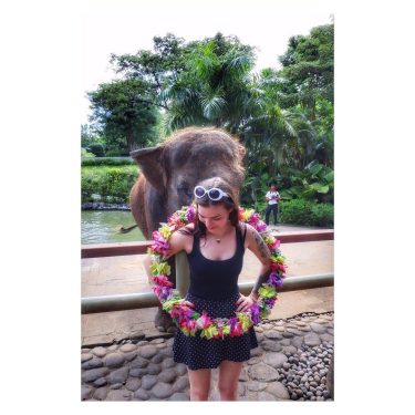 Molly #elephant #elephants #love #travel #indonesia #bali #baliindonesia #baligasm #balitravel #cute #nice #visitbali #perfect…