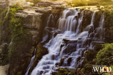 Ethipothala Waterfall and River ………………………………………………………………………….. #outdoors #naturelovers #topshop #explore #travelling #riverside #travelgram #waterfall #travelblogger…