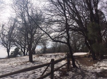 Así se viven los días nevados en California. #CaliforniaSnowDay #SanBernardinoMountains . . . .…