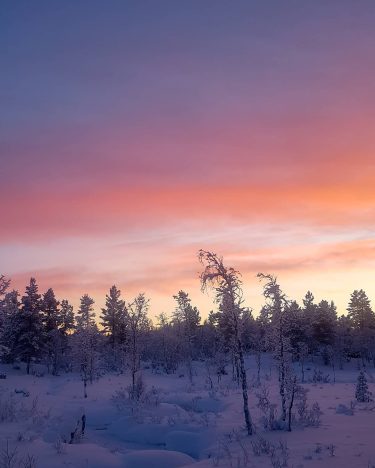 #finland #lapland #laplandfinland #winterwonderland #winter #sky #naturephotography #nature #beautiful #amazing #travelphotography #traveling #travelblogger #likeforlikes…