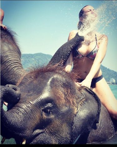 #elephants #beach #summer #phuket #thailand #travel #travelphotography #travelblogger # #girl #bnesimppl #lady #travelblogger #traveling…