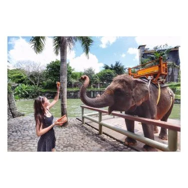 best day ever️ #travelholic #travel #travelblogger #travelling #travelguide #travelgram #traveling #travelers #elephants #elephant #love…