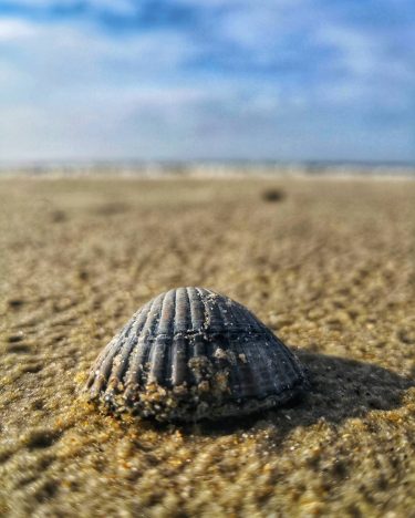 #the_mobile_gallery #bnesimppl #pic #picoftheday #photo #photooftheday #winter #chilling #instagood #streetphotography #color #ocean #beauty #natgeotravel…