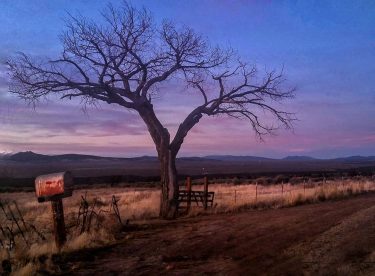 New Mexico . . . . #newmexico #justgoshoot #stellar_shots #YourShotPhotographer #discoverearth #roamtheplanet #globecaptures #roamearth…