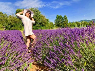 ???????? Provenza Giugno 2018 I colori e i profumi della lavanda nel massimo della…