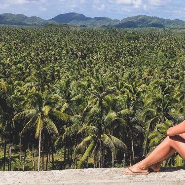 ️[PALMS] Sea of coconuts ! • • • #philippines #siargao #travel #asia #southeastasia #iloveasia&hellip;