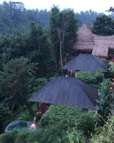 Every luxury must be paid for, and everything is a luxury, starting with being&hellip;