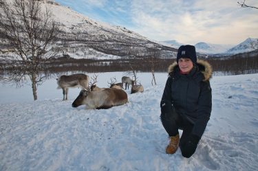 Rudolphs Freunde |Bardu, Norwegen #donner #blitzen #dancer #dasher #prancer #comet #cupid #rentier #rentiere #reindeer…