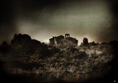 #fotoartistiche #bnesimppl #fotartplgz #pierluigizag #valdichiana Edited with: @carbonblackandwhite _ #landscape #amazing #view #trip #tree&hellip;