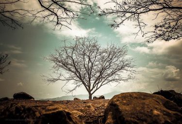 Zona arqueológica Guachimontones, Teuchitlan, Jalisco, México #guachimontones #jalisco #landscape #mexico #mextagram #coloresdemexico #mexicoesmagia #capturamexico…