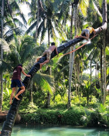 ️[ISLAND LIFE] Travail d’équipe pour attraper la corde ! • • • #philippines #siargao…