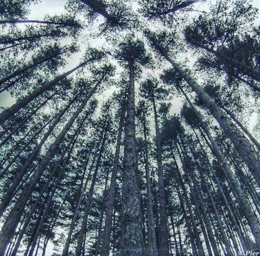 #fotartplgz #traveldestinations_ig #bnesimppl Edited with: @carbonblackandwhite _ #weather #skylovers #natureporn #amazing #skypainters #gf_daily #light&hellip;