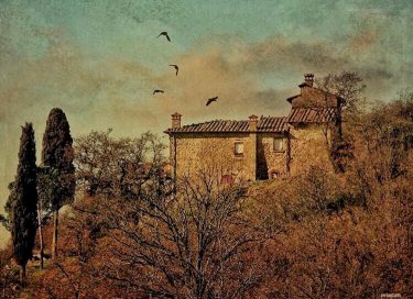 #fotoartistiche #fotartplgz #traveldestinations_ig #bnesimppl Edited with: @carbonblackandwhite _ #landscape #amazing #view #trip #tree #sky&hellip;