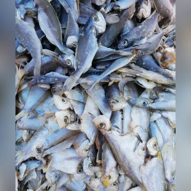 The malay loves to Eat dried stuff. One of the absolutte favourite is All&hellip;