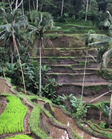 Remember that happiness is a way of travel – not a destination. #bnesimppl #travelingram&hellip;