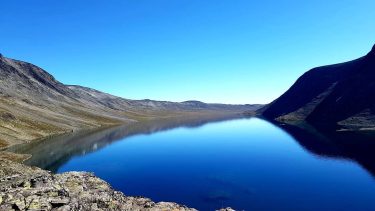 “To walk in nature is to witness a thousand miracles” – Mary Davis |&hellip;