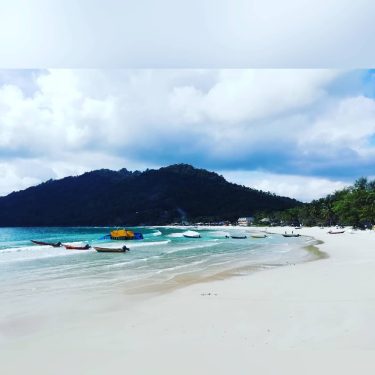 Spend the day under the water seing Hobs of beautifull amazing colourfull different fish,&hellip;