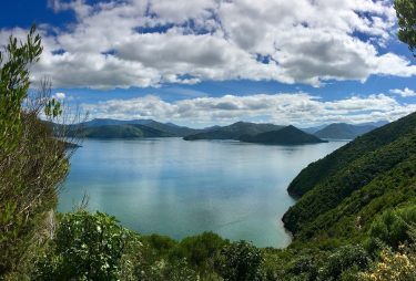 Picton, New Zealand #csmidlifegapyear #memories #travel #travelblogger #travelbug #tbt #photo #adventure #amemoryaday #photooftheday #apictureaday …