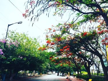 I know you’re tired but come, this is the way !! . . .…