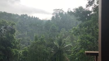 ⭕️If you think adventures are dangerous, try routine: It’s Lethal. ••••••••••••• ‍️Discover my Journey&hellip;