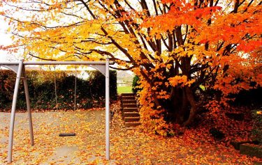 The swing #photographylover #dslrphotography #streetphotography #street #photography #photo #photographer #travelphotography #photos #geneva #switzerland #switzerland????????…