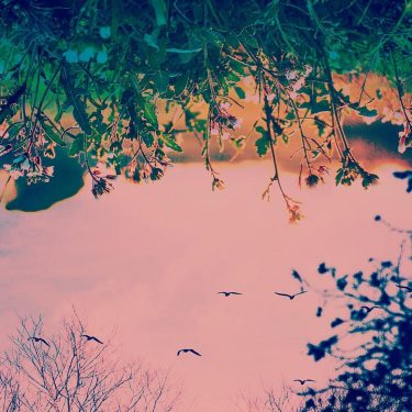 Seguir imaginando lugares en los que nuestra realidad no pasaría el arco de control&hellip;