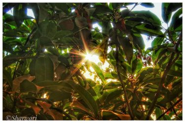 New day new sunrise spotted #desiframes @ @ @canonusa #wanderlust #travelphotography #travelgram #mypixeldiary #mydslrdiary…