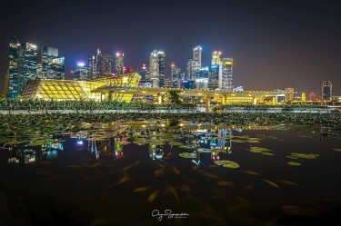 Welcome to Singapore. Singapore cityscape . Beautiful view of singapore city with fish on…