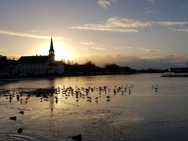 #sunrise in #reykjavik #iceland???????? #iceland #goldencircle #travelphotography #traveling #travelgram #travel #trip #voyage #sunlight #fireandice…