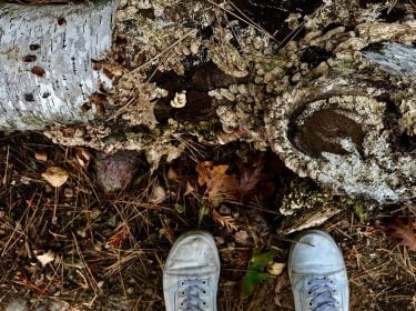 dirty vans